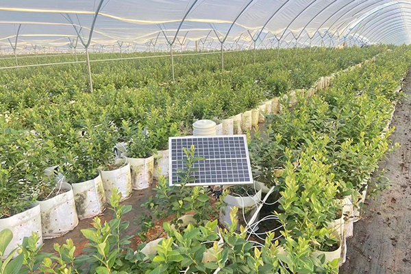 設(shè)施大棚氣象觀測(cè)站圖片3 設(shè)施大棚氣象觀測(cè)站圖片3