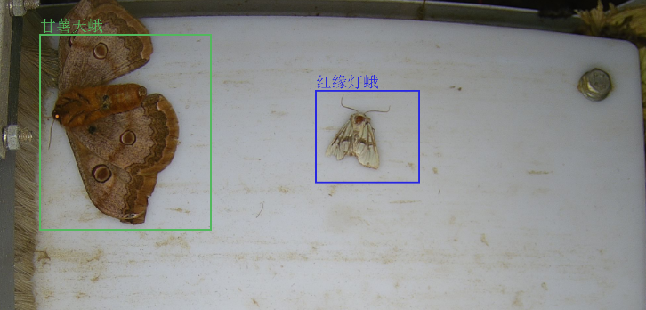 1709187212967609.png 1709187212967609.png