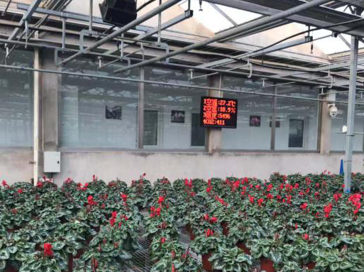 智慧大棚環(huán)境監(jiān)測(cè)系統(tǒng)圖片1