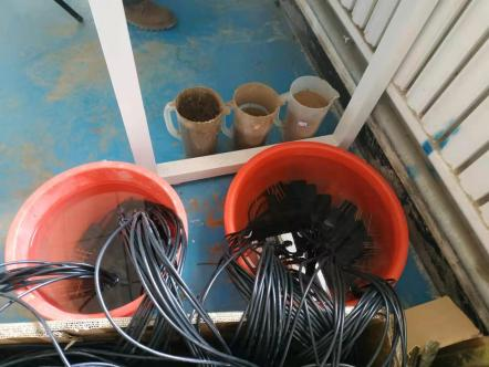 耐鹽堿地土壤傳感器圖片2