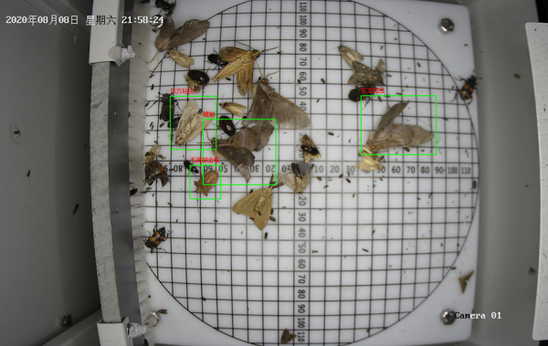 蟲情測(cè)報(bào)設(shè)備圖片3