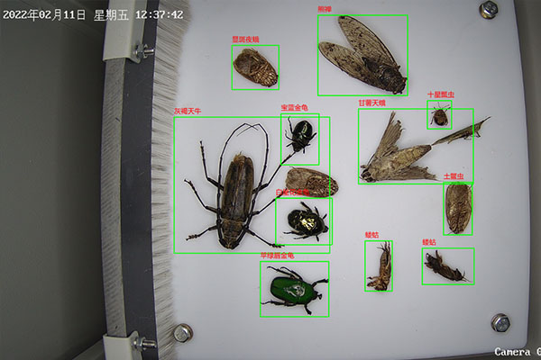 自動(dòng)蟲情測(cè)報(bào)燈圖片6 自動(dòng)蟲情測(cè)報(bào)燈圖片6