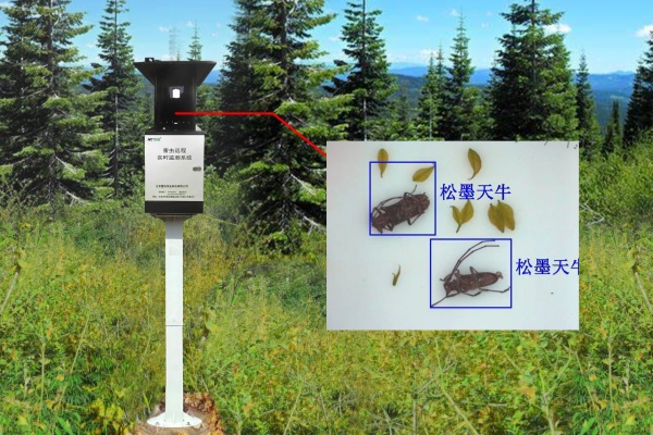 物聯(lián)網(wǎng)天牛智能監(jiān)測系統(tǒng)圖片 物聯(lián)網(wǎng)天牛智能監(jiān)測系統(tǒng)圖片