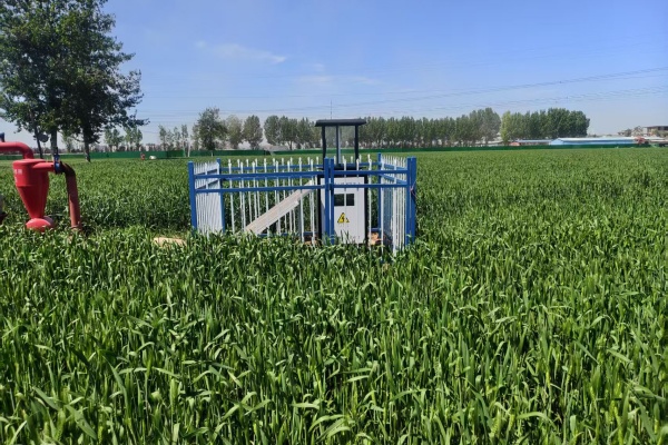 蟲情測報燈圖片1