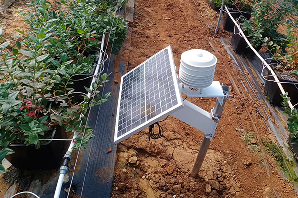 自動氣象站圖片3